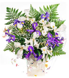 bouquet of 15 irises